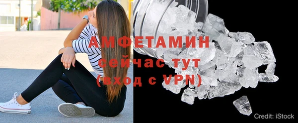 ГАЛЛЮЦИНОГЕННЫЕ ГРИБЫ Абаза