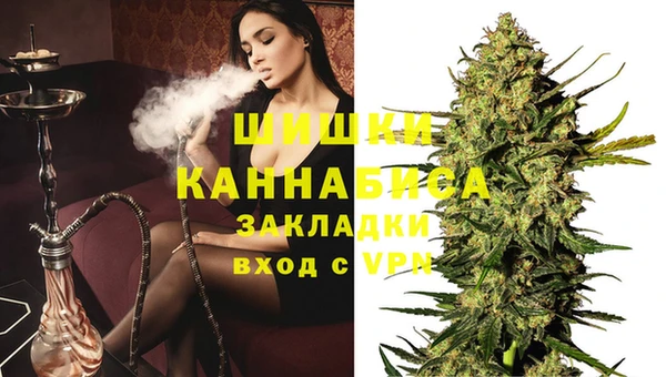ГАЛЛЮЦИНОГЕННЫЕ ГРИБЫ Абаза
