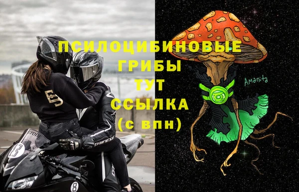ALPHA PVP Покровск